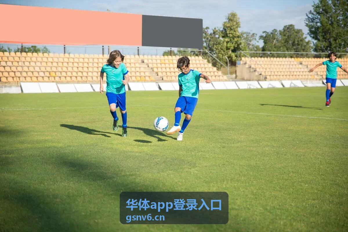 华体app登录入口在电脑端的登录页面展示
