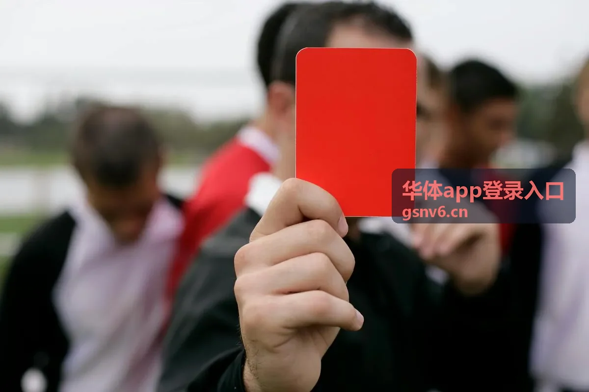 华体app登录入口设备授权与多端登录记录示意